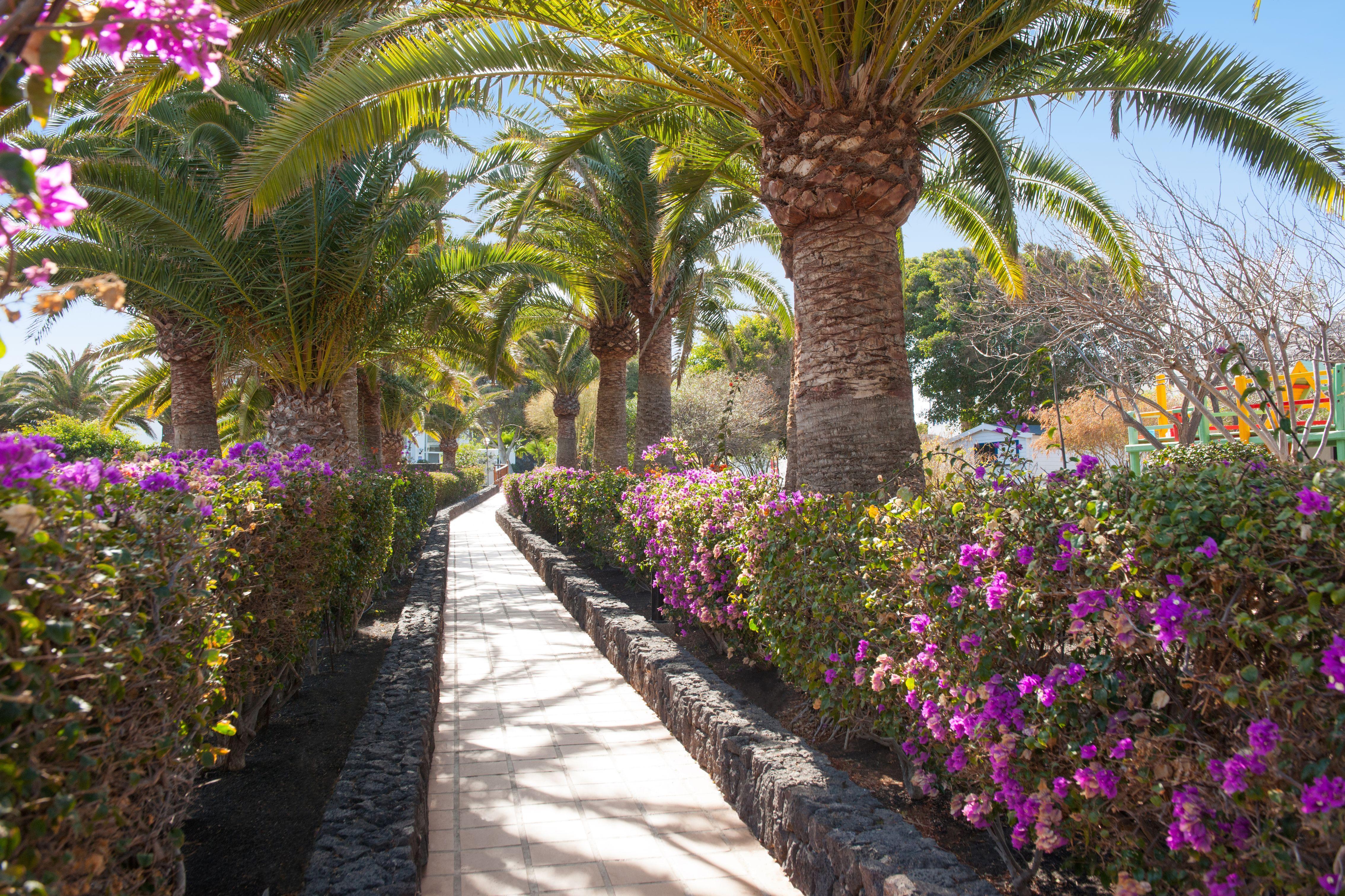 Relaxia Olivina Hotel Puerto del Carmen  Bagian luar foto